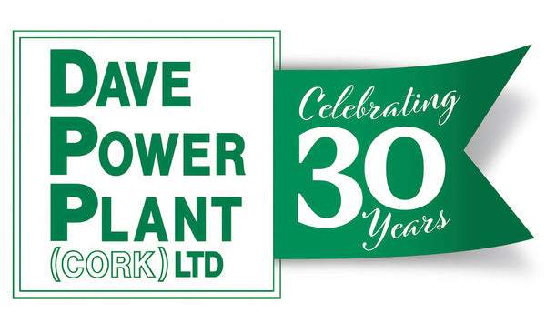Dave Power Plant - Online Shop